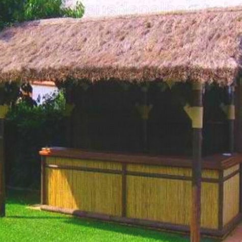 bar quiosque com toldo em palha