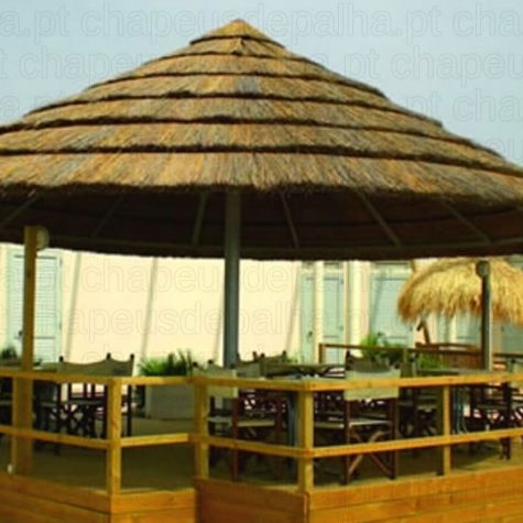 palhinhaafricana3