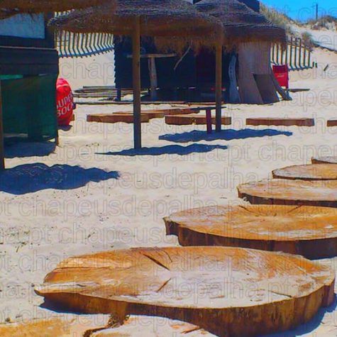 passadiço na praia em tronco